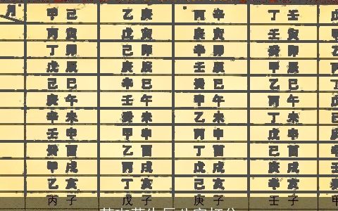 苏珈萱生辰八字打分