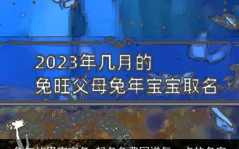 兔年的男宝宝名 起名免费网洋气一点的名字