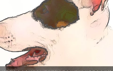 给狗取名字大全叫什么好听最洋气的狗名好听洋气的狗狗名字最新