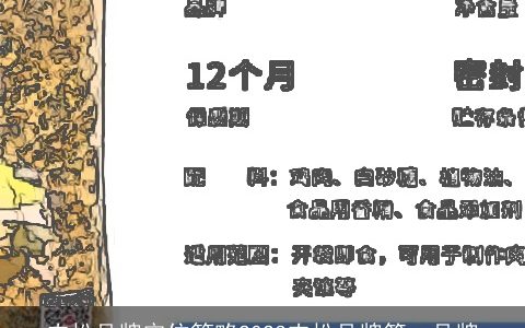 肉松品牌定位策略2023肉松品牌第一品牌
