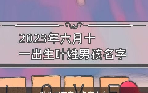 叶氏男宝宝的名字大全