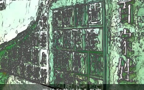 陈姓和蒋姓结合名字