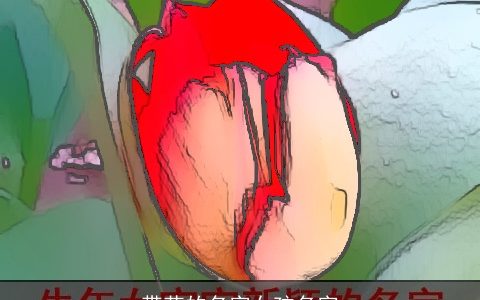 带花的名字女孩名字