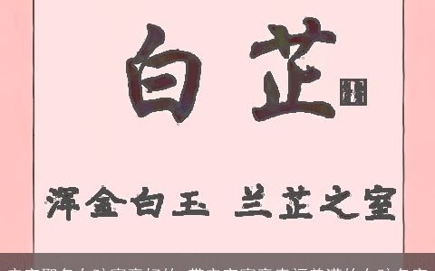 安字取名女孩寓意好的 带安字寓意幸福美满的女孩名字