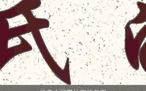 姓童中间带林字的名字