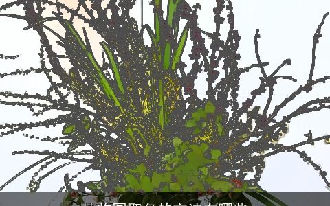 植物园取名的方法有哪些