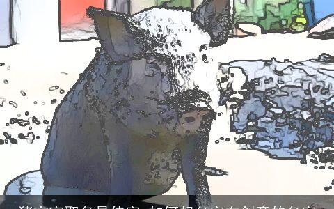 猪宝宝取名最佳字 如何起名字有创意的名字