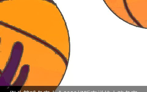 街头篮球名字大全2023好听吉祥的小孩名字