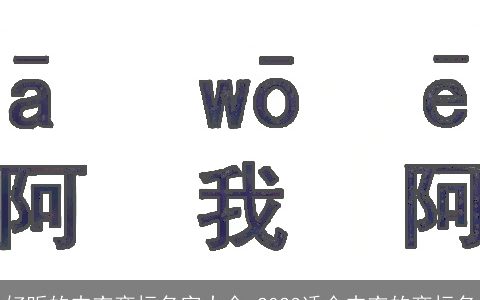好听的内衣商标名字大全 2024适合内衣的商标名