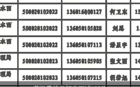 蔡泓霆姓名打分测试100分