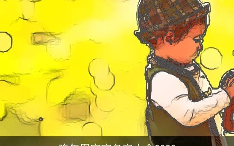 鸡年男宝宝名字大全2024