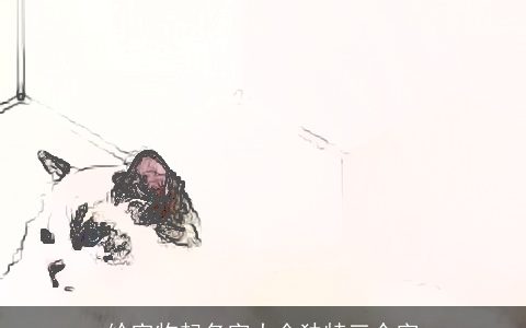 给宠物起名字大全独特三个字