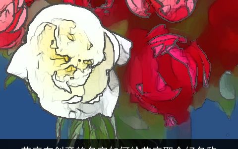 花店有创意的名字如何给花店取个好名称