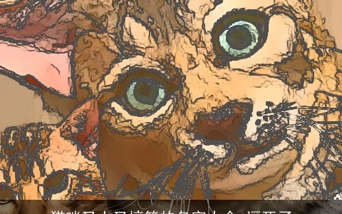 猫咪又土又搞笑的名字大全 逗死了