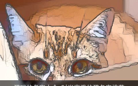 猫咪的名字大全 时尚高雅的猫名字推荐