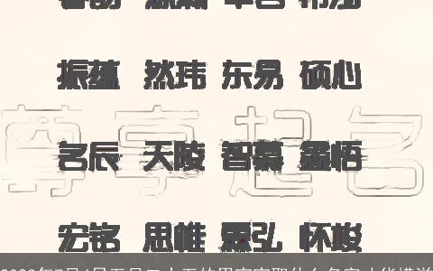 2024年7月4日五月二十五的男宝宝取什么名字才华横溢