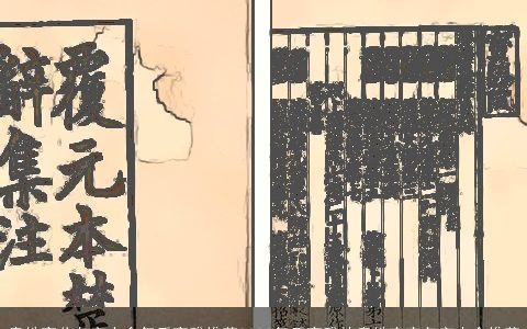 袁姓高分名字大全气质高雅推荐2023气质高雅的袁姓宝宝名字大全推荐