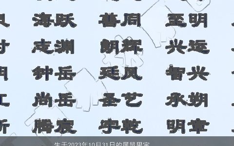 生于2024年10月31日的属鼠男宝宝怎么起名大全 好听稀少的鼠男宝宝名字