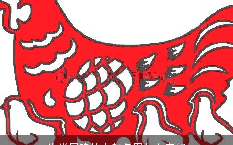 生肖属鸡的人起名用什么字好