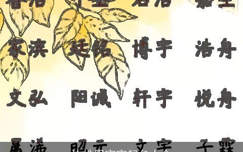 边姓男宝宝起名大全