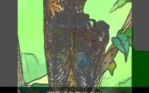 窦晶媛名字的含义