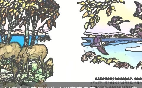 鼠年大雪节气出生的男宝宝名字大全 大方之家