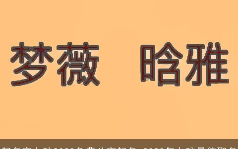 起名字女孩2024免费八字起名 2024年女孩最佳取名