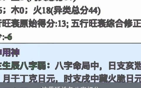 沈恩延姓名八字打分