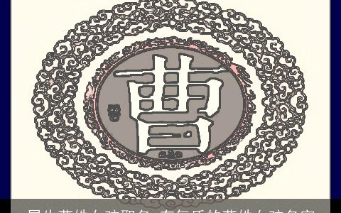 属牛曹姓女孩取名 有气质的曹姓女孩名字