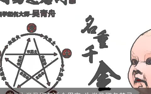 生肖马取名适合用字 生肖马取名禁忌