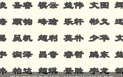 男龙宝宝取名最佳字 2024年的好运势名字