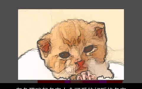 灰色猫咪起名字大全可爱的好听的名字