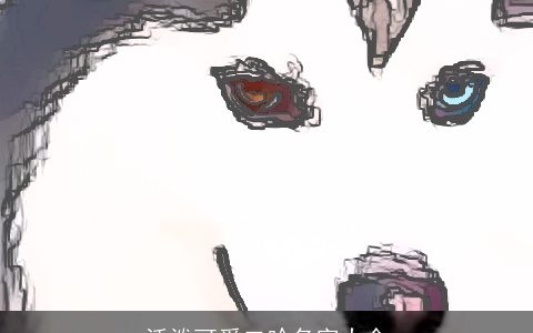 活泼可爱二哈名字大全