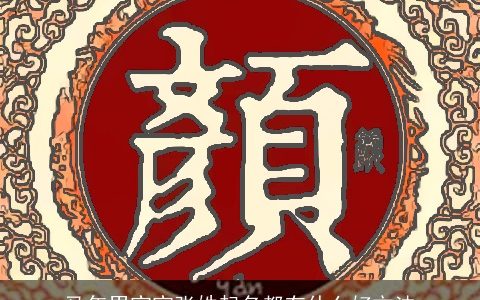 马年男宝宝张姓起名都有什么好方法