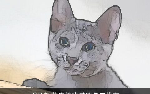 俄罗斯蓝猫简称猫咪名字推荐
