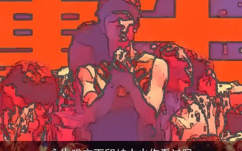 永生难忘丁卯炉中火你看过吗