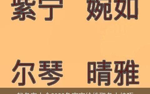 起名字大全2023兔宝宝徐姓取名小技巧