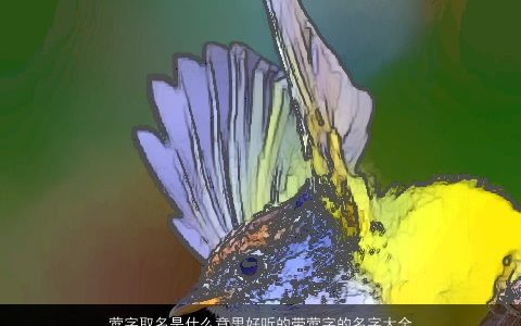 莺字取名是什么意思好听的带莺字的名字大全2024洋气好听的带莺字宝宝名字大全挑选