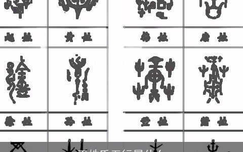 王姓氏五行属什么