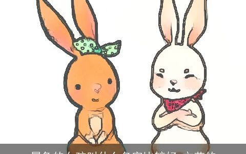 属兔的女孩叫什么名字比较好 文艺的