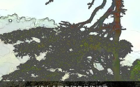 松柏木命取名好名任你挑选