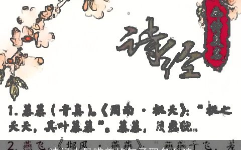 诗经中最唯美的句子取名女孩