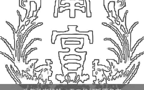 牛年姓宰的独一无二的好听男名字