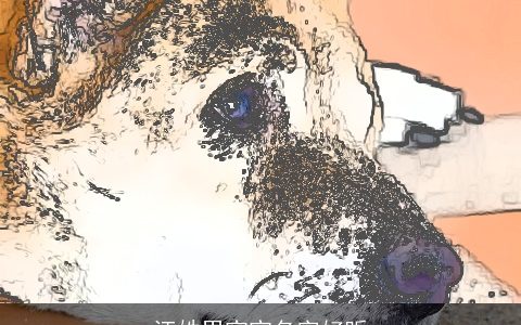 汪姓男宝宝名字好听