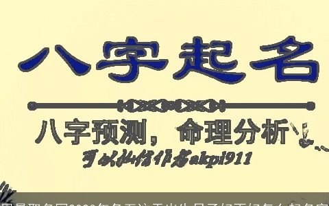 周易取名网2023年冬至这天出生日子好不好怎么起名字