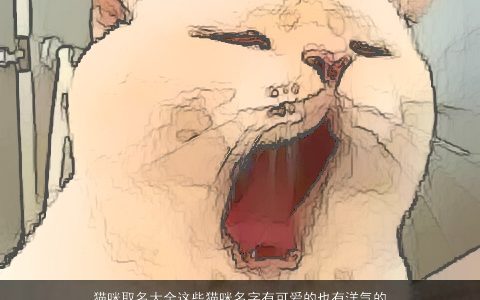 猫咪取名大全这些猫咪名字有可爱的也有洋气的你会喜欢的2023 可爱洋气的宝宝名字筛选