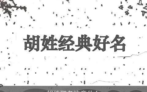 胡姓取名注意什么