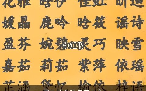 属木的女孩名字大全