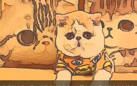 绝无仅有独一无二的猫咪名字大全2023稀少独一无二的宝宝名挑选