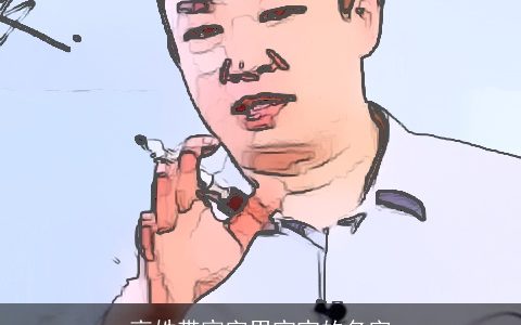 高姓带宸字男宝宝的名字